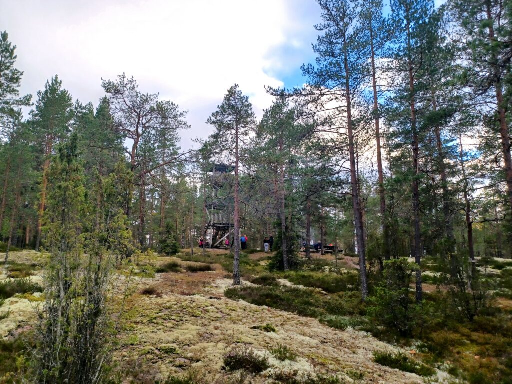 Korkeusvuoren näkötorni Kojonkulmalla. Kalliomaasto ja kuiva kangasmetsä. Kuvassa myös retkeilijjäryhmä.