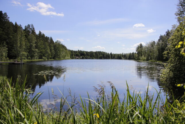 Näkymä kirkkaana kesäpäivänä Pappisten järvelle.