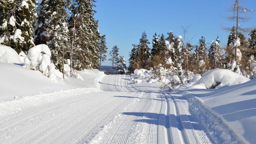 talvinen hiihtolatu, puita, taivasta.